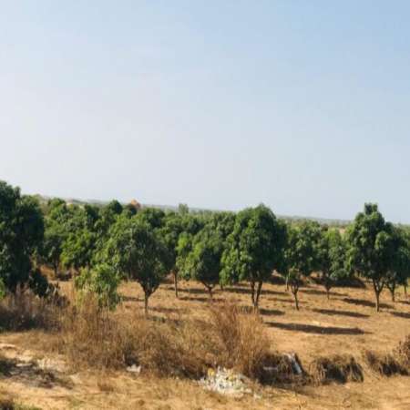 Photo ads/2375000/2375113/a2375113.jpg : Ferme agricole de 7 hectares vers Diender