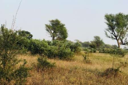 Photo ads/2375000/2375118/a2375118.jpg : Terrain agricole de 8089 m² vers Tassette