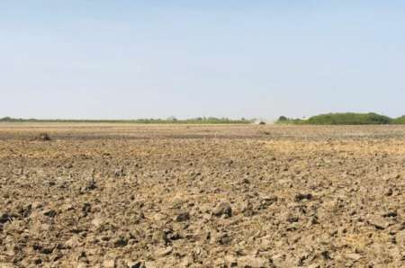 Photo ads/2375000/2375122/a2375122.jpg : Terrain agricole de 10 ha vers Keur Moussa