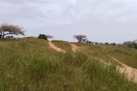 Photo ads/2375000/2375152/a2375152.jpg : Terrain de 1,83 ha vers Diokoul Diawrigne