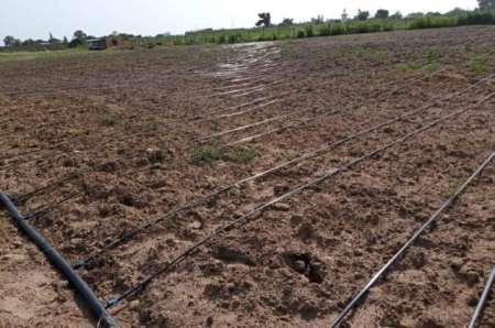 Photo ads/2375000/2375157/a2375157.jpg : Verger agricole de 2,30 ha vers Malicounda