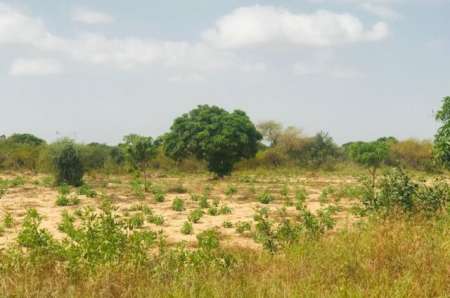 Photo ads/2376000/2376122/a2376122.jpg : Terrain agricole 1,53 hectare vers Pire