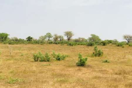 Photo ads/2376000/2376132/a2376132.jpg : Terrain agricole de 1,28 ha vers Koul