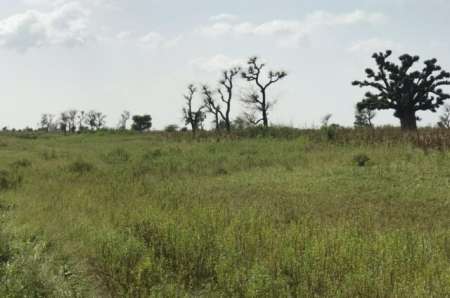 Photo ads/2376000/2376146/a2376146.jpg : Terrain agricole de 20 ha vers Sésséne