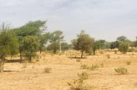 Photo ads/2377000/2377758/a2377758.jpg : Terrain agricole de 3 ha vers Koul