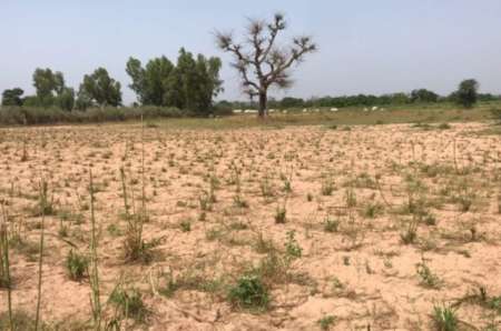 Photo ads/2377000/2377779/a2377779.jpg : Terrain agricole de 6156 m² Séssène