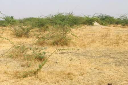 Photo ads/2378000/2378401/a2378401.jpg : Terrain agricole de 9419 m² vers Nguéniène