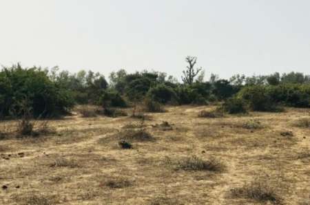 Photo ads/2378000/2378404/a2378404.jpg : Terrain agricole de 1,68 ha vers Diender