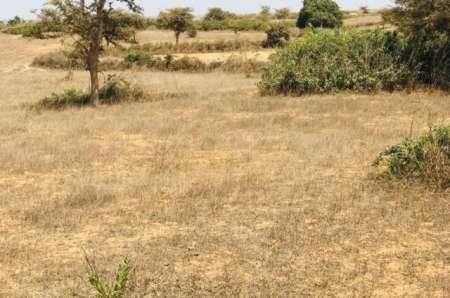 Photo ads/2378000/2378439/a2378439.jpg : Terrain agricole de 4142 m² vers Mont Rolland