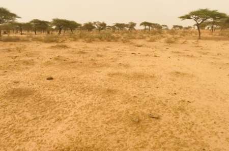 Photo ads/2378000/2378696/a2378696.jpg : Terrain agricole de 3 ha vers Diama