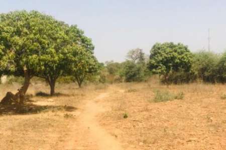 Photo ads/2378000/2378697/a2378697.jpg : Ferme agricole de 2,52 ha vers Yenne