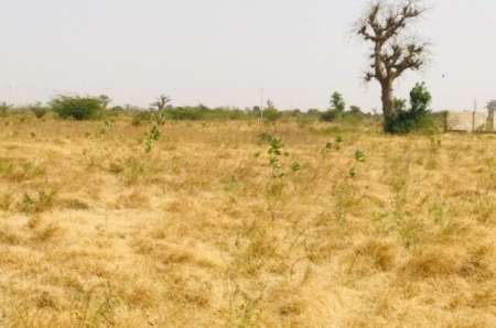 Photo ads/2378000/2378702/a2378702.jpg : Verger agricole de 3 ha vers Nguéniène