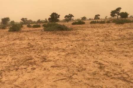 Photo ads/2378000/2378704/a2378704.jpg : Terrain agricole de 3 ha vers Thiènaba