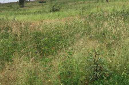 Photo ads/2378000/2378707/a2378707.jpg : Terrain agricole de 8478 m² vers Ndiaganiao