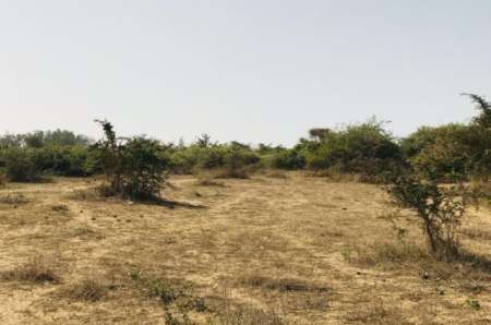 Photo ads/2378000/2378716/a2378716.jpg : Terrain agricole de 1 ha vers Diender