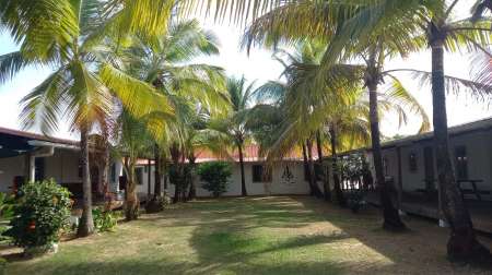 Photo ads/2394000/2394614/a2394614.jpg : Homme recherche couple ou femme