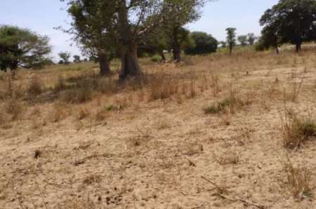 Photo ads/2400000/2400310/a2400310.jpg : Terrain agricole 1,85 hectare vers Tassette