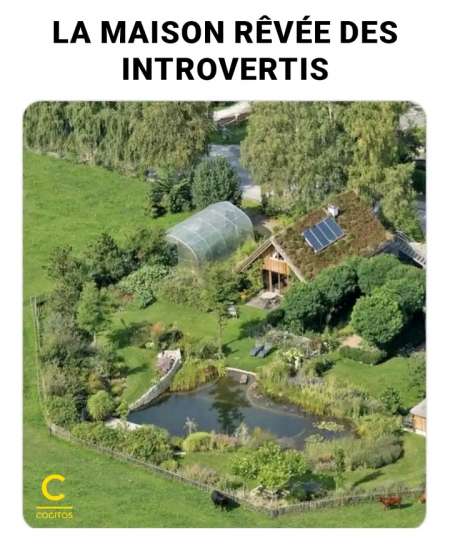 Photo ads/2416000/2416126/a2416126.jpg : Maitre