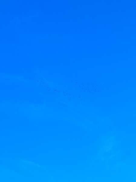 Photo ads/2447000/2447028/a2447028.jpg : Passer un agréable moment