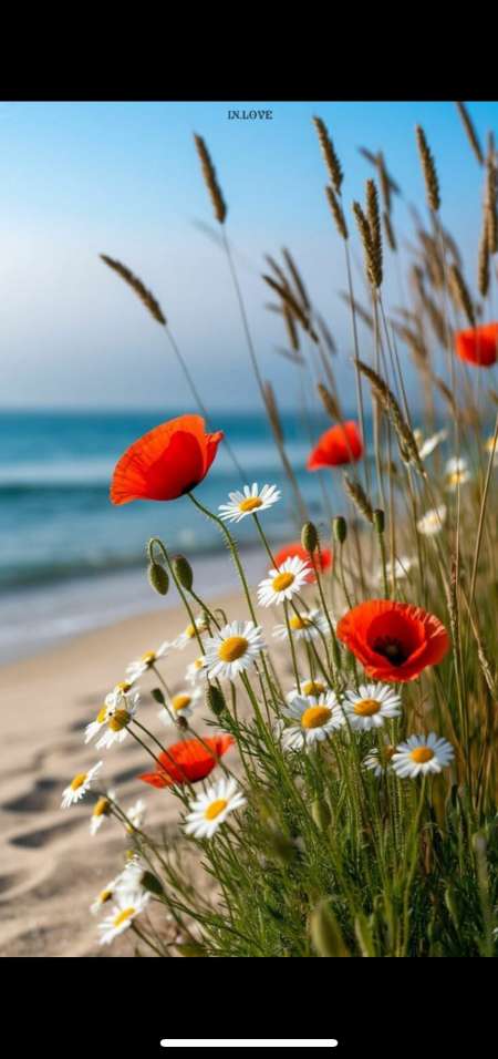 Photo ads/2449000/2449026/a2449026.png : Massage bien être