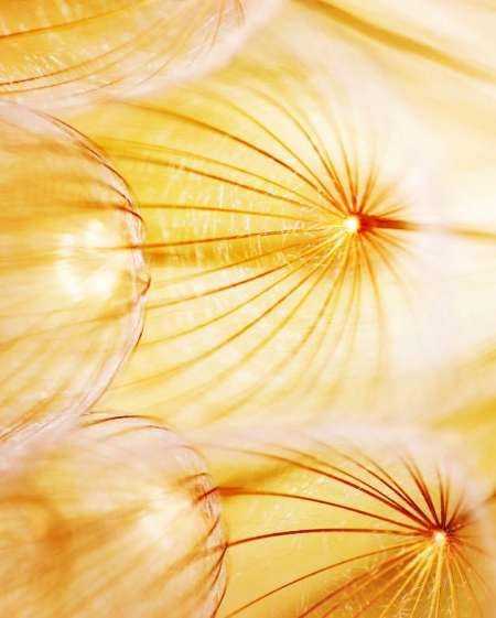 Photo ads/2454000/2454135/a2454135.jpg : pour femme joindre l'utile à l agréable