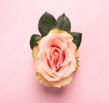 Photo ads/2476000/2476692/a2476692.jpg : La perle d'Oran séduisante