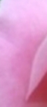 Photo ads/2477000/2477870/a2477870.jpg : Pour femme qui veut joindre l'utile à l agréable