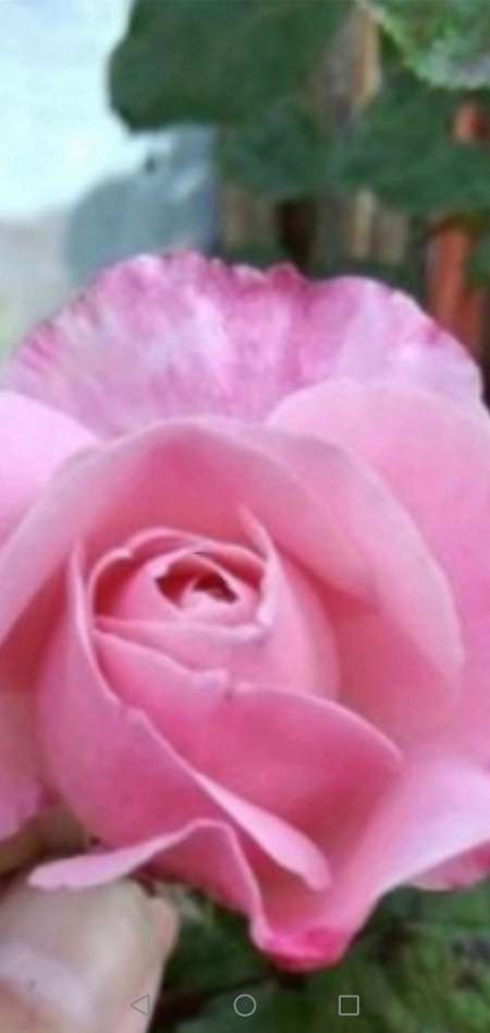 Photo ads/2481000/2481278/a2481278.jpg : pour femme qui veut joindre l'utile à l agréable