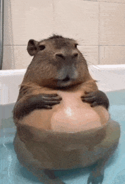 Photo ads/2487000/2487154/a2487154.gif : Rencontre