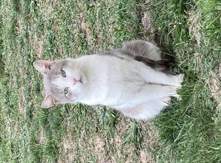 Photo ads/2487000/2487938/a2487938.jpg : H de 63 ans cherche JF très mince voir maigre