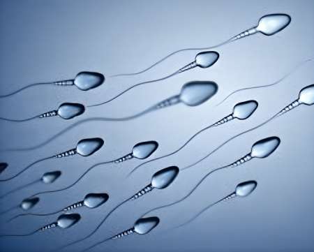 Photo ads/2495000/2495861/a2495861.jpg : SPERME a recolter par vous même