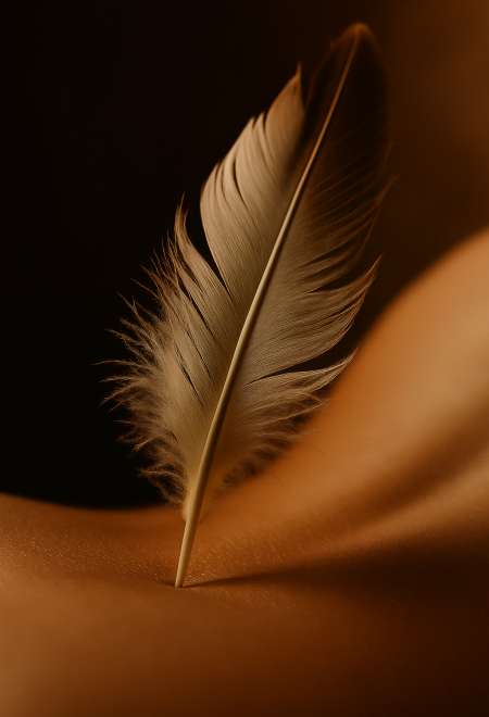 Photo ads/2504000/2504205/a2504205.png : Connivence à Fleur de Peau