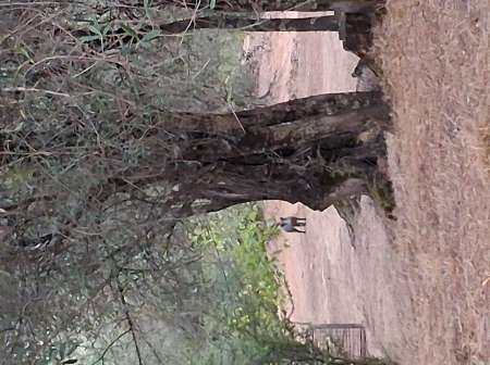 Photo ads/2507000/2507318/a2507318.jpg : Cherche Étudiante agréable