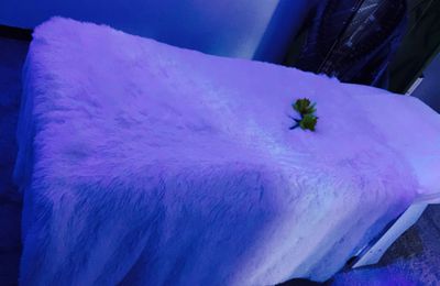 Photo ads/2512000/2512016/a2512016.jpg : Massage tantrique africain