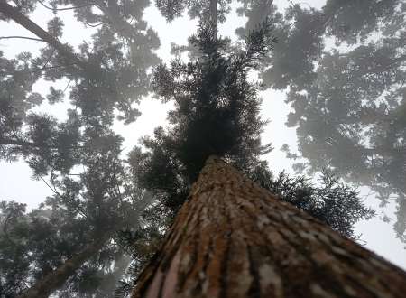 Photo ads/2516000/2516801/a2516801.jpg : Cherche ma nouvelle Suggar 😍