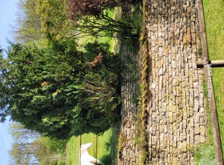 Photo ads/2521000/2521716/a2521716.jpg : Homme pour femmes d'âge mur