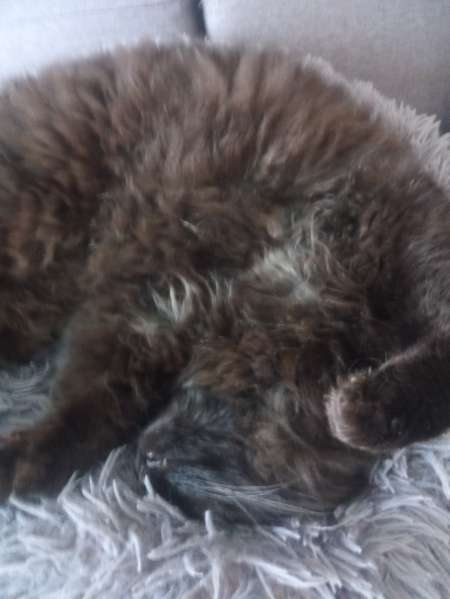 Photo ads/2522000/2522486/a2522486.jpg : Rech femme directive pouvant recevoir en journée