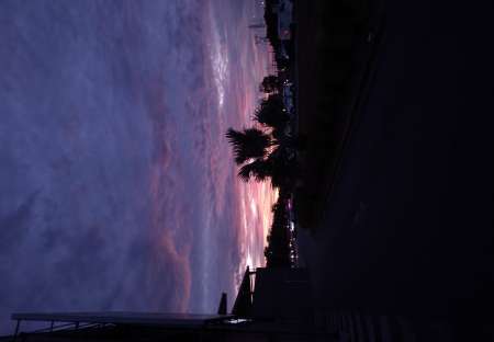 Photo ads/2526000/2526848/a2526848.jpg : Jeune homme propose service d'accompagnement pour