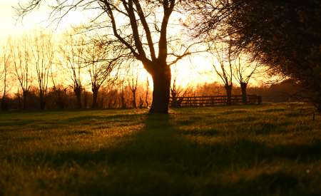 Photo ads/2532000/2532923/a2532923.jpg : Pour femme coquine...