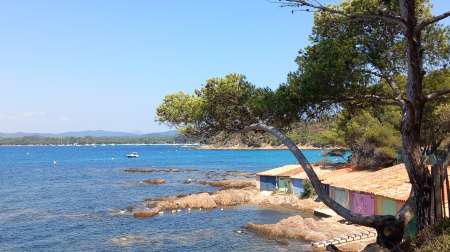 Photo ads/2536000/2536938/a2536938.jpg : Pour le plaisir partagé