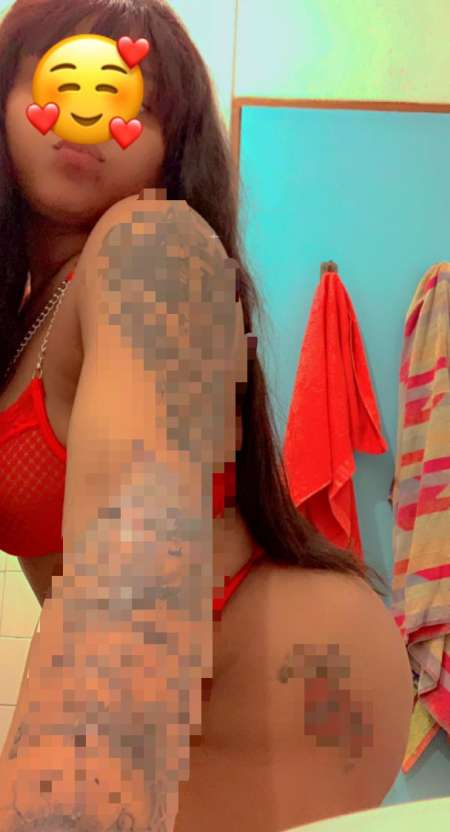 Photo ads/2537000/2537910/a2537910.jpg : Linda mascota amable