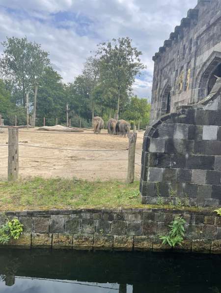 Photo ads/2569000/2569330/a2569330.jpg : Jeune discret pour f