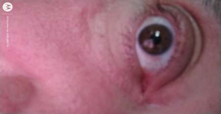 Photo ads/2569000/2569606/a2569606.jpg : Homme de forte corpulence recherche partenaire