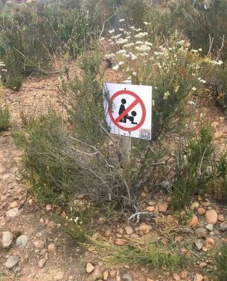 Photo ads/2572000/2572878/a2572878.jpg : homme pour homme actif