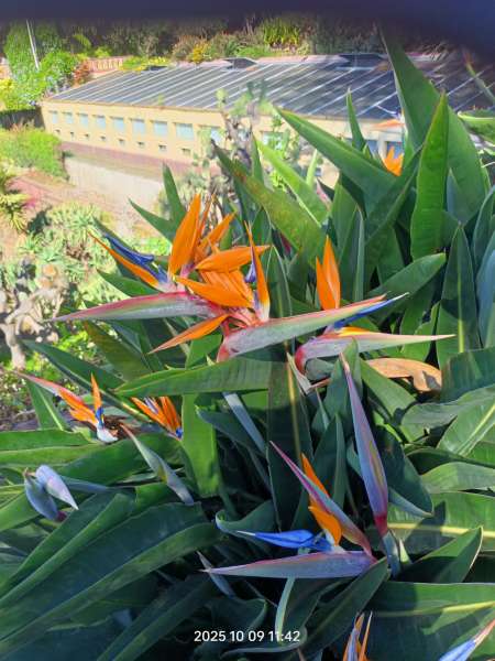 Photo ads/2575000/2575022/a2575022.jpg : Entre hommes seniors ami amant