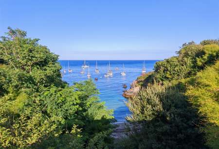 Photo ads/2579000/2579030/a2579030.jpg : Homme pour femme ou couple