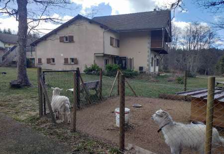 Photo ads/2585000/2585360/a2585360.jpg : ensemble immobilier avec emplois