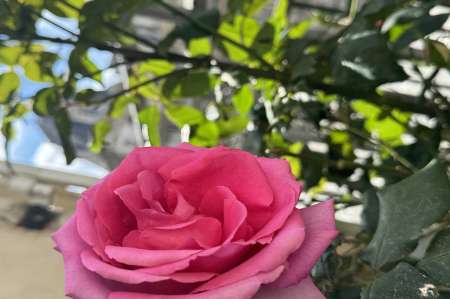 Photo ads/2587000/2587588/a2587588.jpg : Garçon Femelle paris centre no tabou reçois