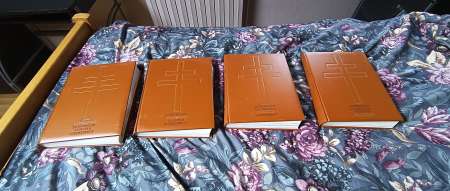 Photo ads/2589000/2589148/a2589148.jpg : collection de livre "l'homme du destin"