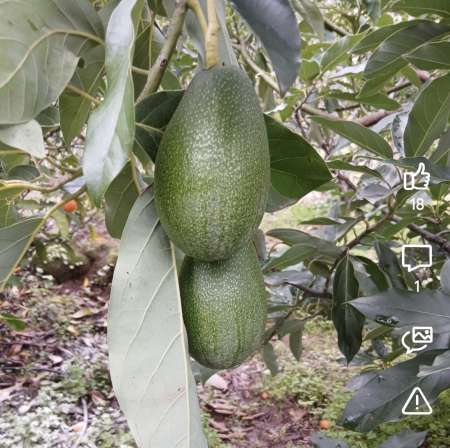 Photo ads/2592000/2592052/a2592052.jpg : Homme recherche colocatrice